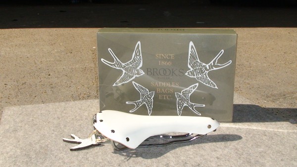 the lesser spotted white swallow