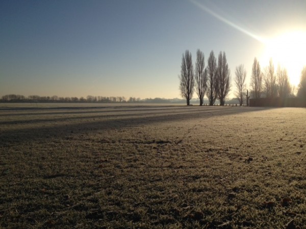 Mighty fine mash this morn